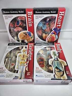 NEW Learning Resources Human Anatomy Models Brain Body Skeleton Heart Homeschool